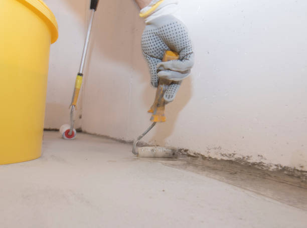 Best Termite Inspection and Treatment  in Watchung, NJ